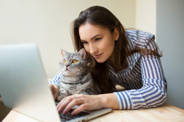 interested girl her cat looking laptop computer display attentively cheerful girl holding her pet working computer as developers girl cat using social media