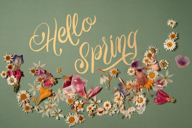 beautiful hello spring collage