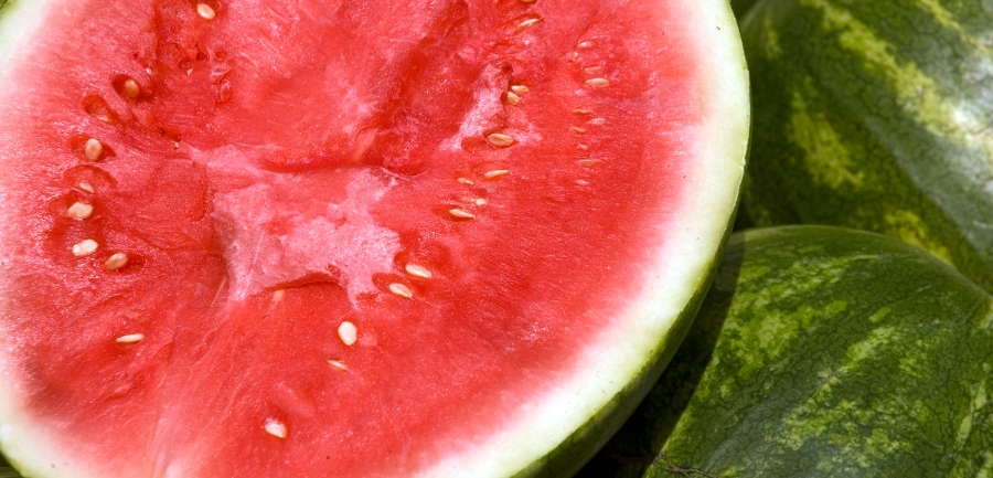 Seeded Watermelon: A Sweet Blend of Fact and Fiction